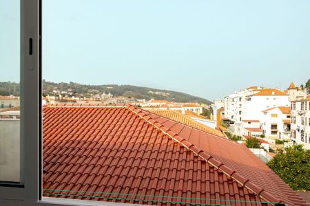 Alcobaça e Vestiaria, Leiria District - Photo 4