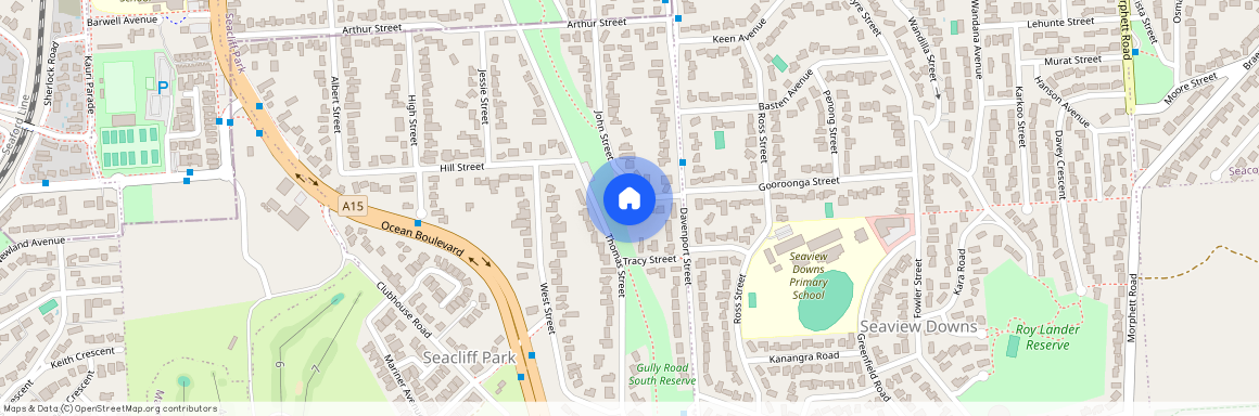 15 John Street, SA 5049, Seacliff Park