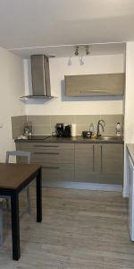 Appartement T2 MEUBLE - PROXIMITE REPUBLIQUE BEAUX-ARTS - Photo 3