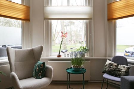 Appartement Koningslaan, Utrecht - À louer - Photo 4