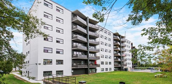 Garden Terrace Apartments - Photo 2