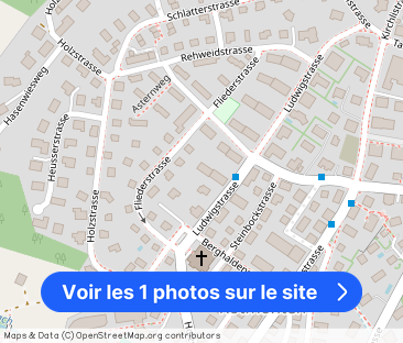 Living in a quiet and family-friendly neighborhood - Photo 1