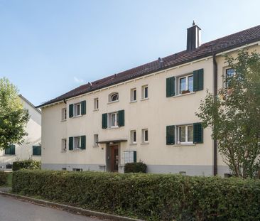 3.5 Zimmer, 71 m², EG - Foto 3
