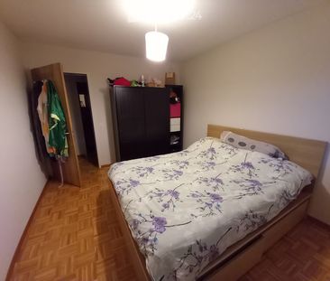 2 Zimmer, 42 m² - Foto 2