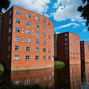 Chambre Opaallaan 386, Hoofddorp - À louer - Foto 2