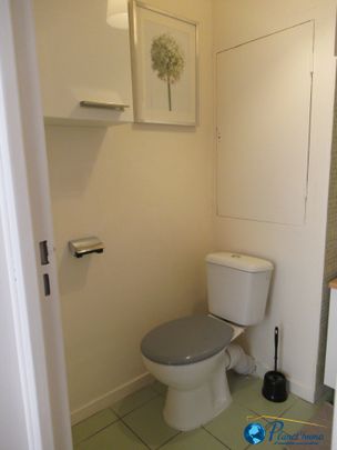 Location Appartement 1 pièce 34m² ST ETIENNE 42100 - Photo 1