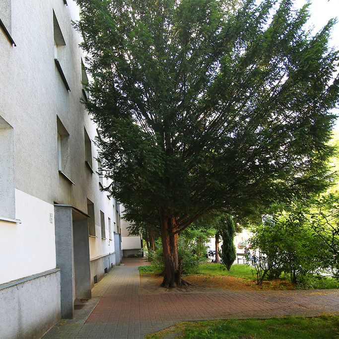 Mieszkanie 3 pokoje 59.5 m² Wrocław-Fabryczna - Grabiszyn-Grabiszynek - Zdjęcie 1