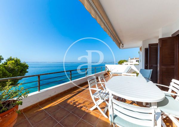 Piso de alquiler en Aucanada , Port d'Alcúdia - Platja d'Alcúdia