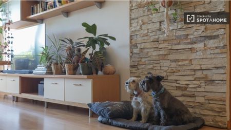 madrid, Community of Madrid 28026 - Photo 4