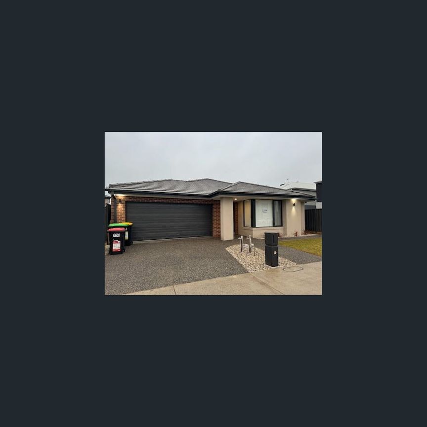 Share half a large home, your own private areas with 2bedrooms, large study area and full bathroom. only one person at other half of the house. - Photo 1