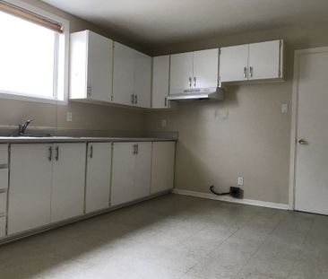 Rapibus Labrosse à Une Minute De Marche - Photo 1