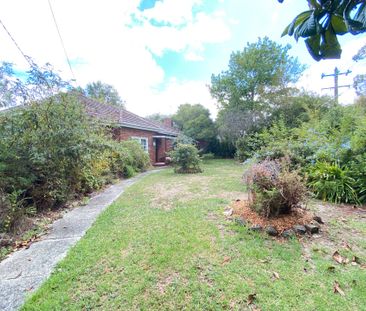 Character Home - Three Bedrooms, Study, Shed & Additional Parking - Photo 1