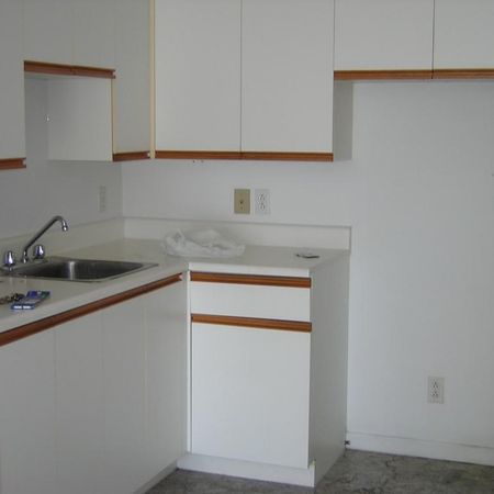 3.5 centre-ville Victoriaville - Photo 4