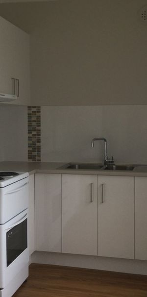 Freshly Renovated Home & Ready to Move In! - Photo 1