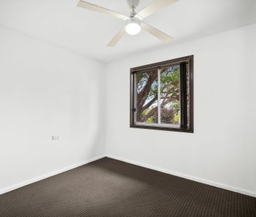 Renovated 3 Bedroom Family Home in Prime Position - Photo 2