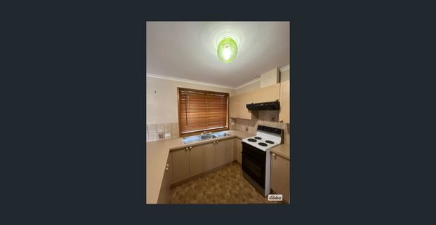 ONLY TWO ON THE BLOCK!!!! - Photo 1