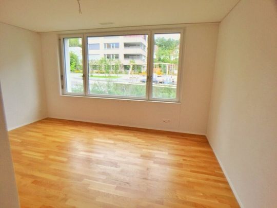 MODERN GROUND FLOOR APARTMENT - Foto 1