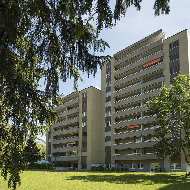 In der Abendsonne - Foto 1