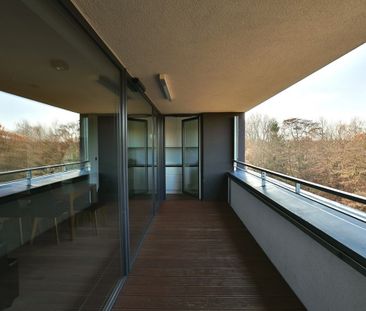 Komfort i widok na ogród botaniczny - Photo 5