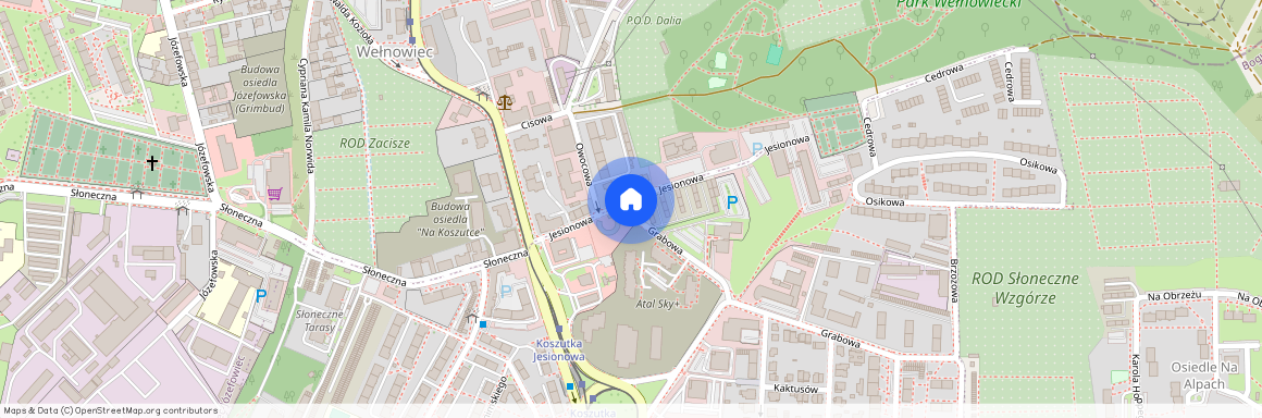 ul. Jesionowa, Koszutka, Katowice, śląskie