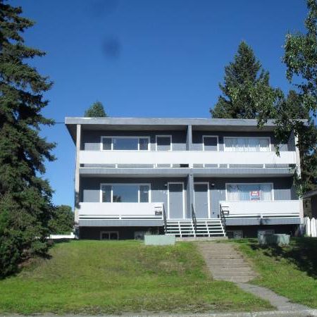 Bachelor Suite in Spruceland - Photo 4