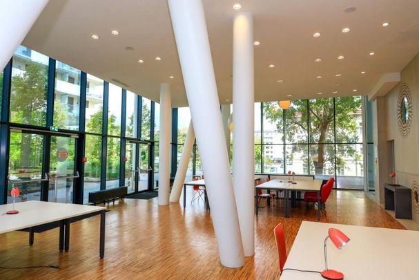 XL Bude 1.09.25 - Foto 1