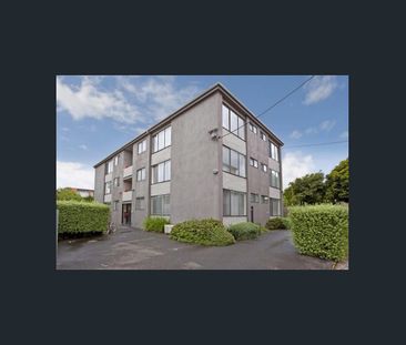 Charming 1-Bedroom Gem in Flemington - Photo 6