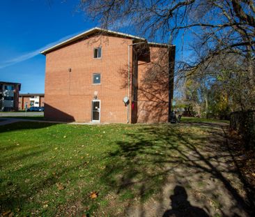 For Lease - 1172 HAMILTON Road Unit# 210, London East, Ontario - Photo 6