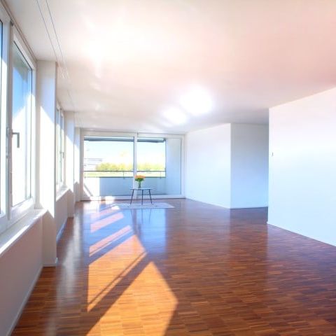 Familienwohnung im neuen Erlenmattquartier - Foto 1