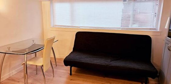 Private|Furnished BASEMENT Micro Studio - Available NOW until April 1 - Photo 2