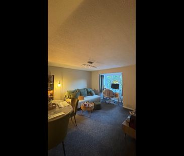 Room in a Shared Flat, Anerley, SE20 - Photo 3