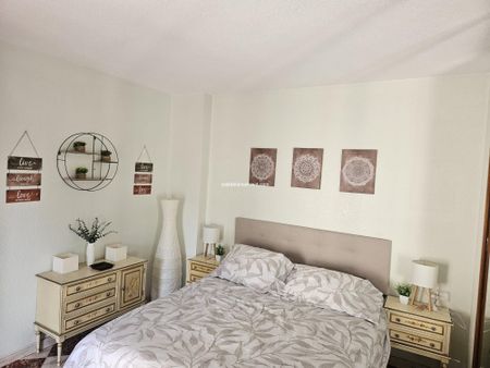 Benidorm Levante Winter and Holiday let - Photo 3