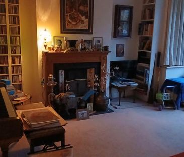 Mature landlady seeking mature professional female - Photo 4