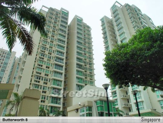 Butterworth 8 (D15), Condominium - For Rent - Photo 1