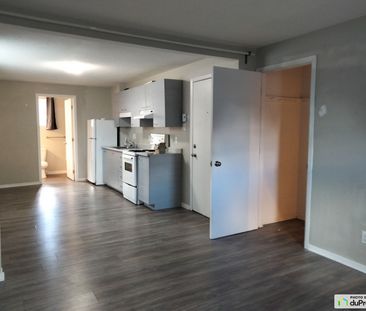 1A-3, rue Guertin, Gatineau (Gatineau) à louer - Photo 6