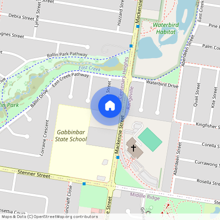 14 Roslyn Street, Qld 4350, Centenary Heights