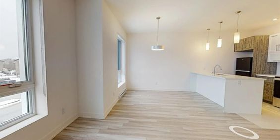 655 Boulevard Du Plateau (Plateau) Tous Inclus 4 1/2 - Photo 3