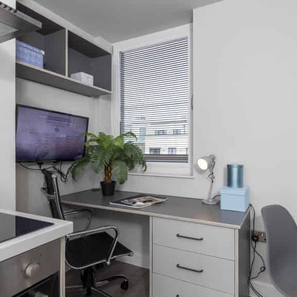 Large Premier Studio - Photo 1