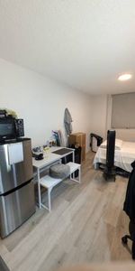 Studio Apartment - Gerrard /Church - TMU & UofT - For Student! - Photo 4