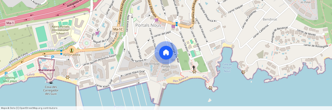 4 Carrer Alt, Portals Nous, Balearic Islands 07181, Portals-Nous