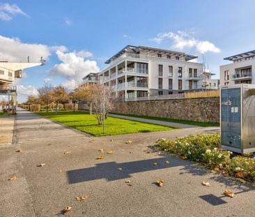 „Auge was willst du mehr?" Spitzenwasserblick in Bingen direkt am R... - Foto 1