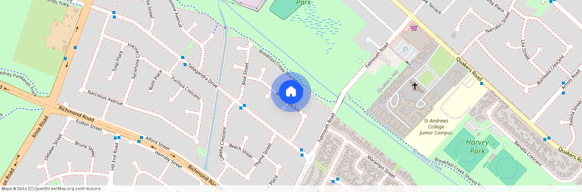 46 Brier Crescent, Quakers Hill NSW 2763