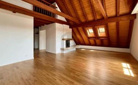 Wohnung in Oetwil an der Limmat - Photo 2