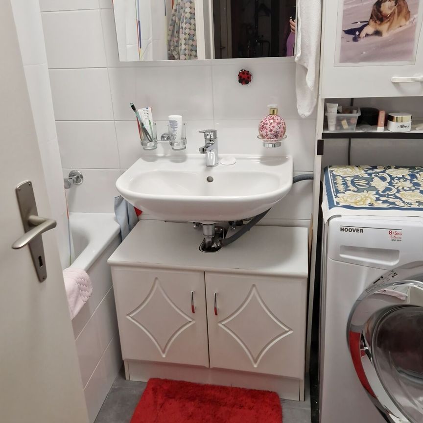 3½-ROOM APARTMENT IN GENEVA, FURNISHED, TEMPORARY RENTAL - Photo 1