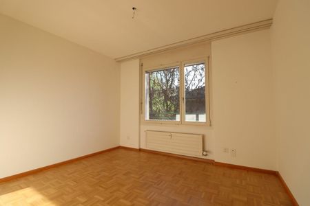 Nähe Schützenmattpark - frisch teilsanierte, grosszügige Dachwohnung mit 2 Terrassen - Foto 2