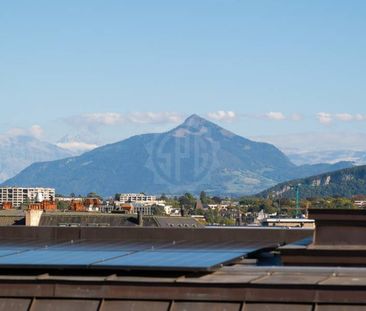 Appartement agréable - Genève - Photo 2