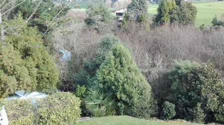 Sunny Family Home in Te Kowhai Village - Photo 5