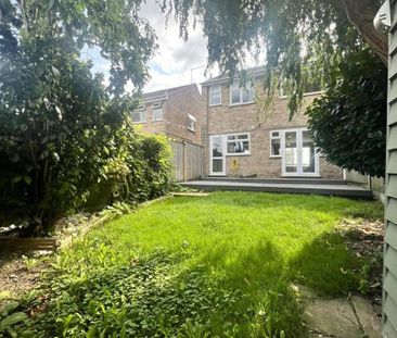 3 bedroom house to rent - Photo 6