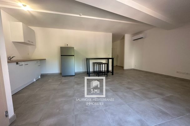 Location Appartement 1 pièce 38m² ST ESTEVE 66240 - Photo 1