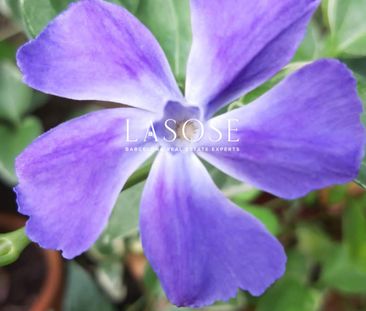 House 194m² to rent in Montjuic, Barcelona - Photo 5